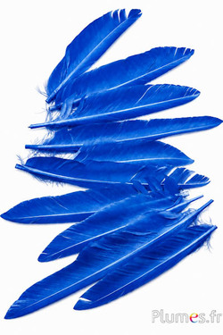 Gans kop - 15-20 cm - blauw
